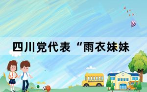 四川党代表“雨衣妹妹”刘仙：相信未来的老区会给年轻人更多机遇