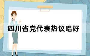 四川省党代表热议唱好“双城记”、共建“经济圈”