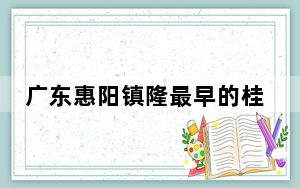 广东惠阳镇隆最早的桂味荔枝一斤卖到80元