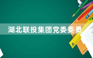 湖北联投集团党委委员、副总经理胡丹接受审查调查