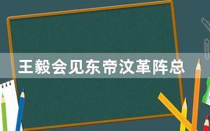 王毅会见东帝汶革阵总书记：中国开展对外合作从不附加任何政治条件