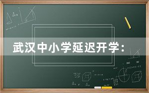 武汉中小学延迟开学：返校时间延迟到2月26日